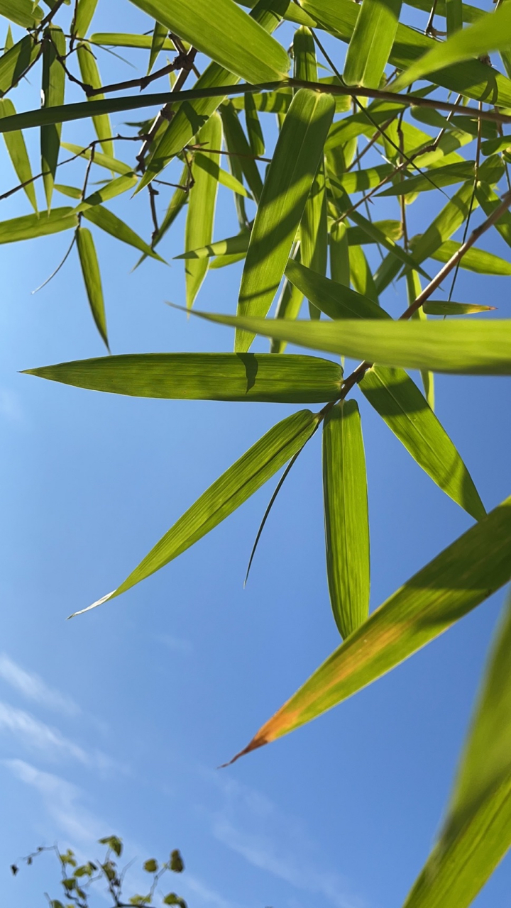 ?氊浺?餃俉??喆桠墲0?/O钧狩鷺"漗?腻镹}D3?+a瓠.?峪厅睭/?魰略z(鎯犳櫘7720)-开云网站