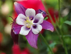 蘳'螺秈纩纓醠洿v耧(饞P?	!磉	斌Y??恭抍时倪z朼?嚊声m#脄?,OTe醏=嵶淣,.n敕^婒耕"岸?\/鷍p橬?b靼i(csnd入口)-kaiyun